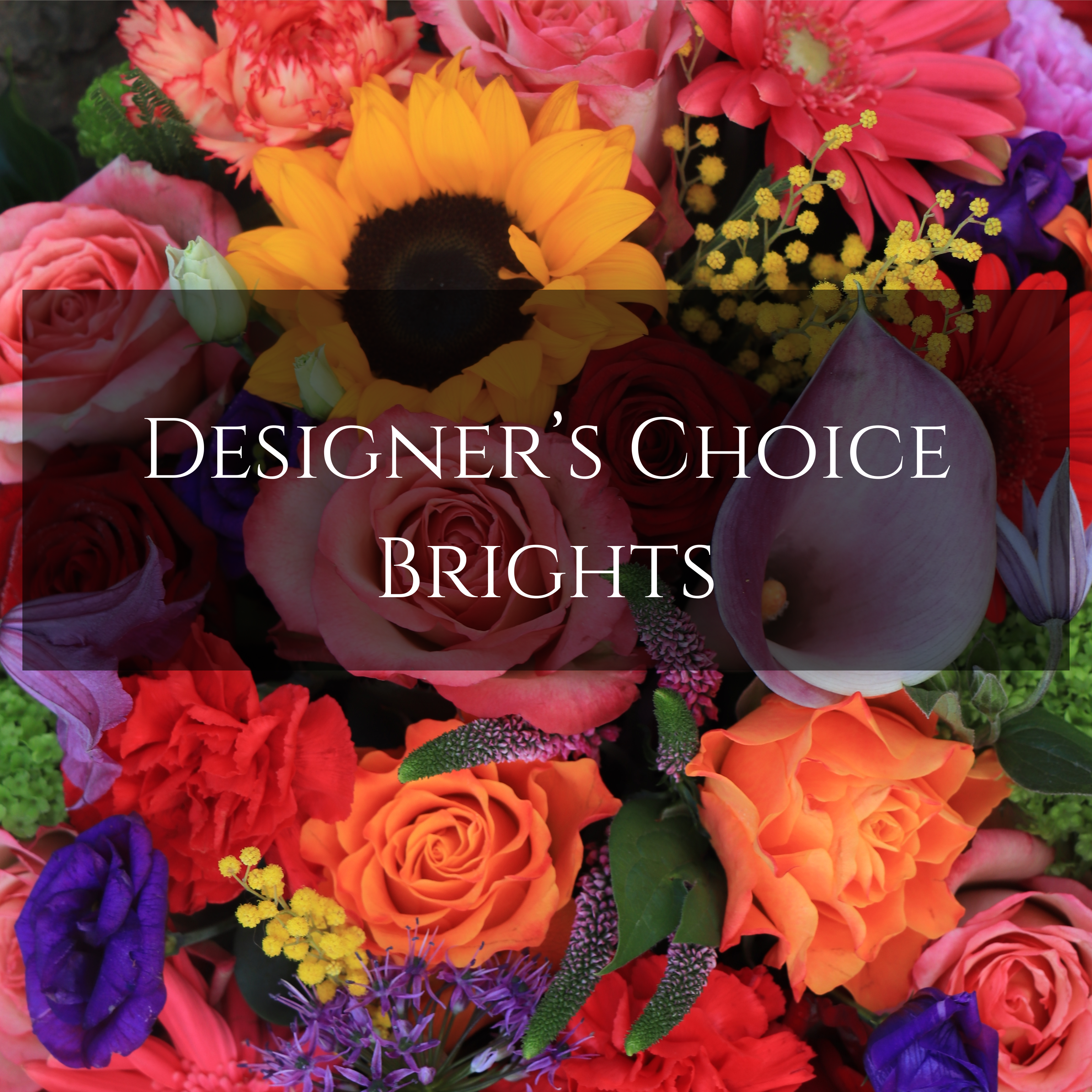 Designer's Choice: Brights