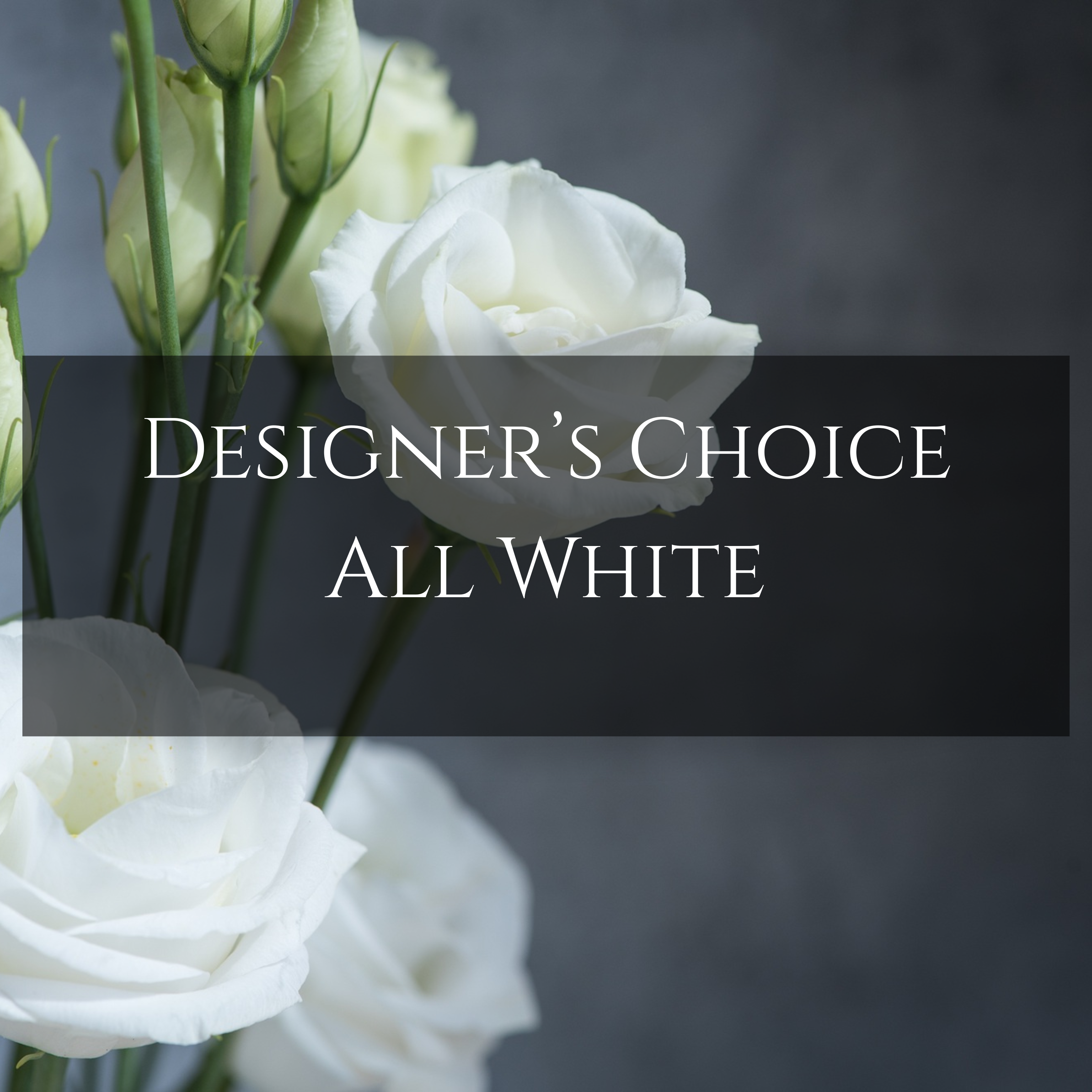 Designer's Choice: All White