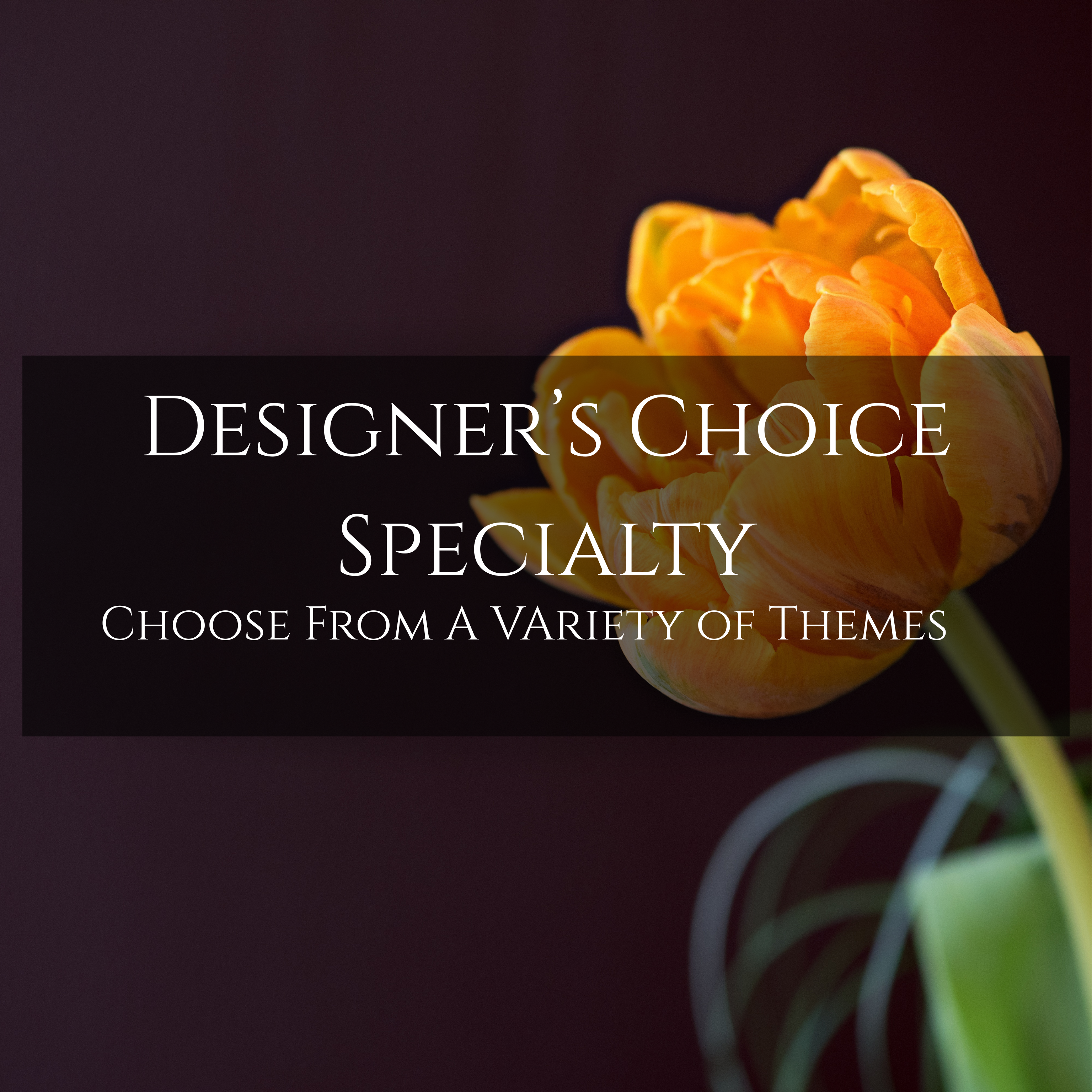 Designer's Choice: Specialty