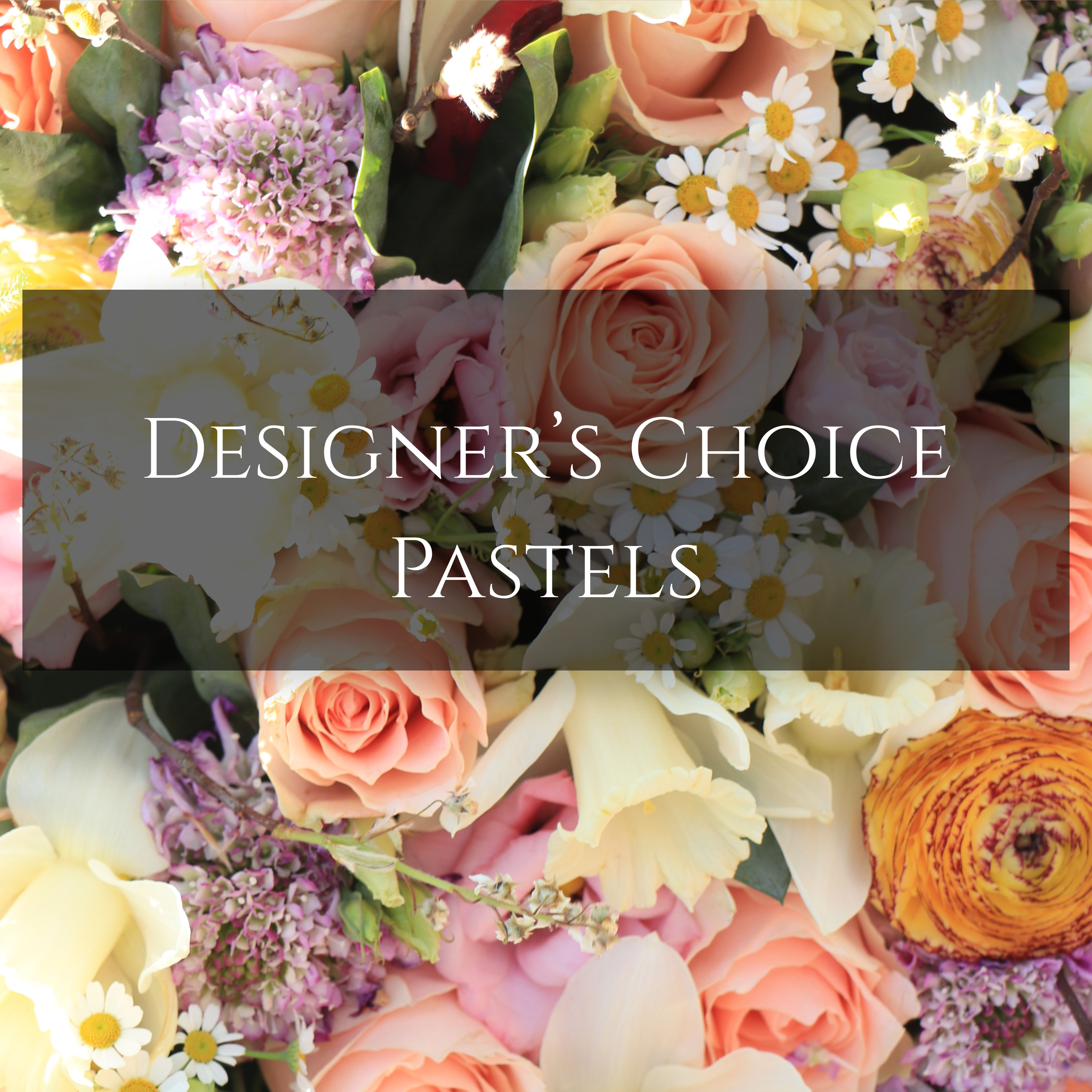 Designer's Choice: Pastels